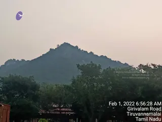 February 01 2022