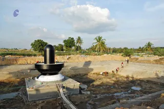November 20 2008