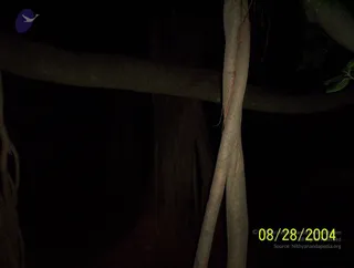 August 28 2004