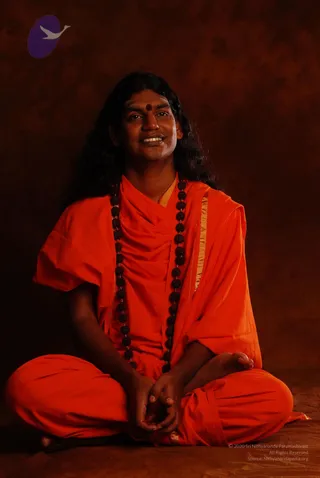 2008 SY14231 CMP WM.jpg