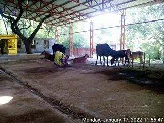 January 17 2022