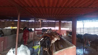 Jan 15 2022 sripuram