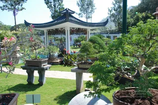 October 29 2008