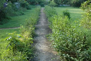 November 09 2006