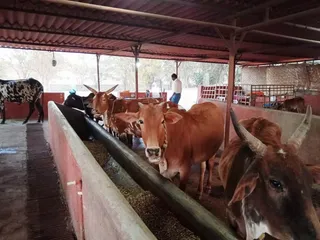 Feb 4 2022 sripuram