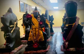 KAILASA HOUSTON, USA on 4/30/2022
