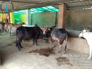 KASHI SARVAJNAPEETAM on 5/14/2022