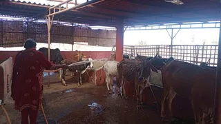 Jan 15 2022 sripuram
