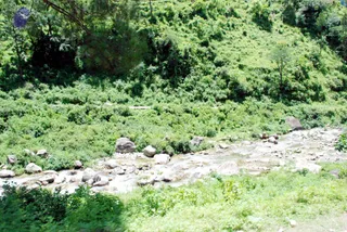 July 01 2008