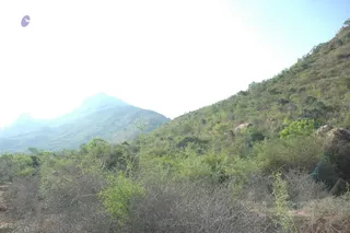 1978 - Tiruvannamalai - InnerGirivala