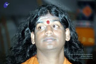 October 19 2006