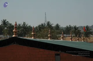 January 16 2010