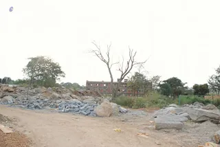 November 19 2008