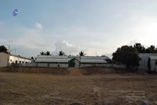 November 20 2008