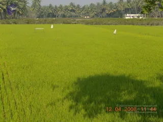 February 10 2009