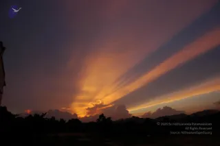 September 03 2006