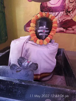 KASHI SARVAJNAPEETAM on 5/11/2022