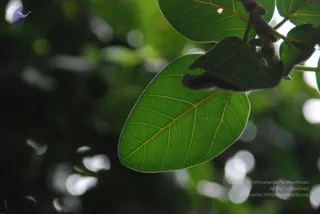 September 07 2009