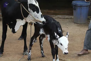 December 01 2011
