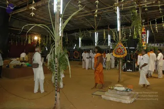 July 16 2006