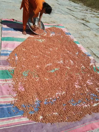 20210601 1185 191941208 FB.jpg