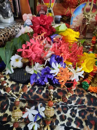 Photo 8285194