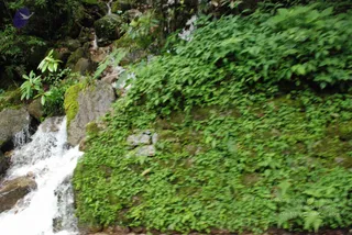July 07 2008