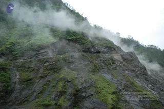 July 08 2008