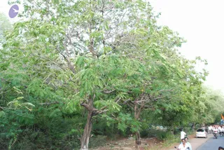 August 01 2008