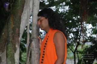 July 11 2010