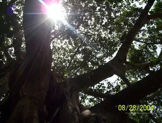 August 28 2004