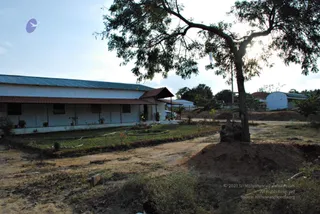 November 20 2008