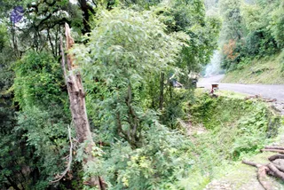 July 01 2008