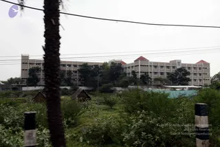 January 20 2010