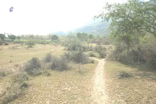1978 - Tiruvannamalai - InnerGirivala