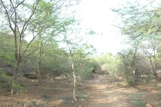 1978 - Tiruvannamalai - InnerGirivala