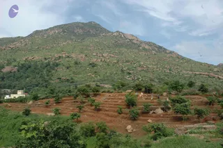 May 20 1989