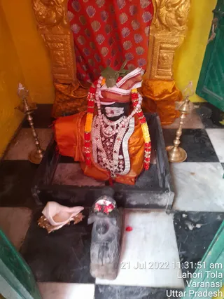Photo 8285388