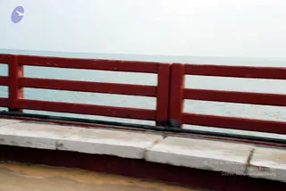 January 14 2009