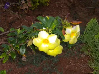 October 01 2010
