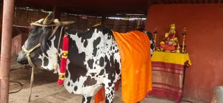 Jan 11 2022 sripuram