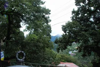 June 29 2008