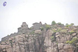 August 08 2009