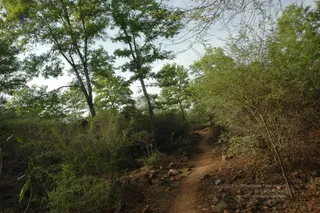 1978 - Tiruvannamalai - InnerGirivala