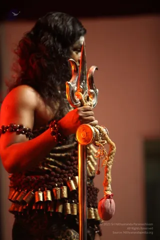 IMG 1554.jpg