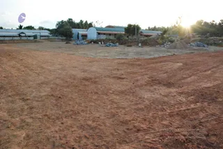 November 20 2008