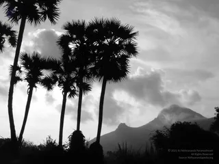1978 - Tiruvannamalai