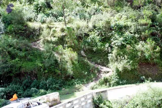 July 01 2008