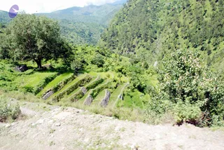 July 01 2008