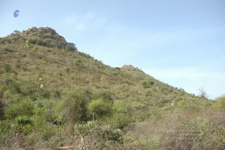 1978 - Tiruvannamalai - InnerGirivala